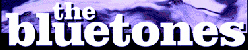 the bluetones gallery